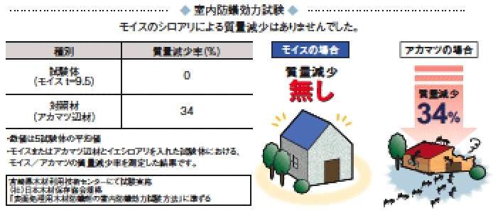 モシロアリには強いの？